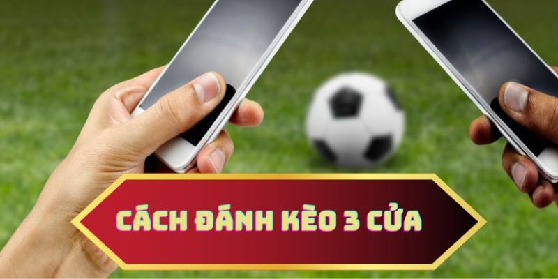 Các thắc mắc thường gặp về điều khoản sử dụng của ibs.uk.net